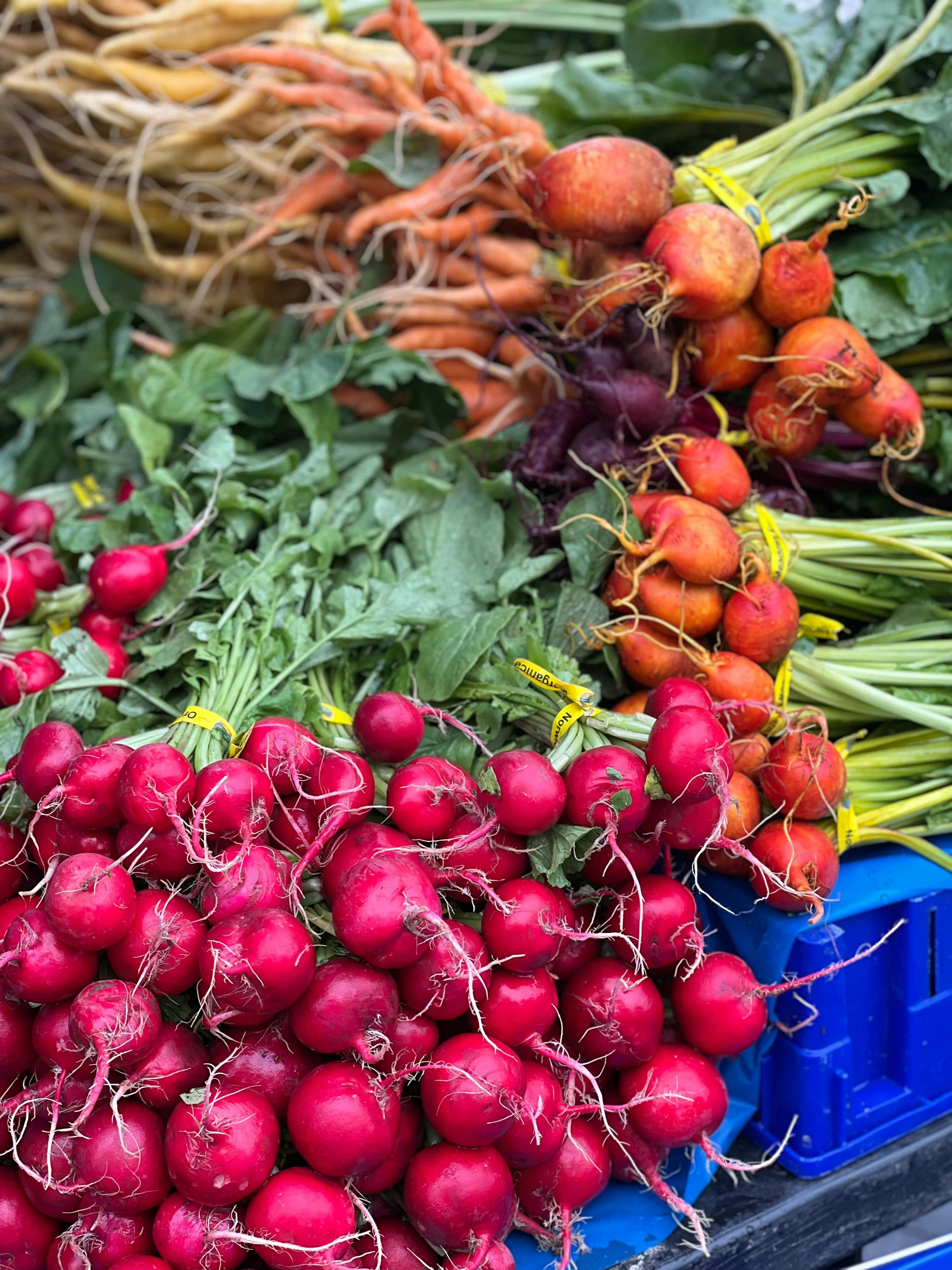 Root Vegetables
