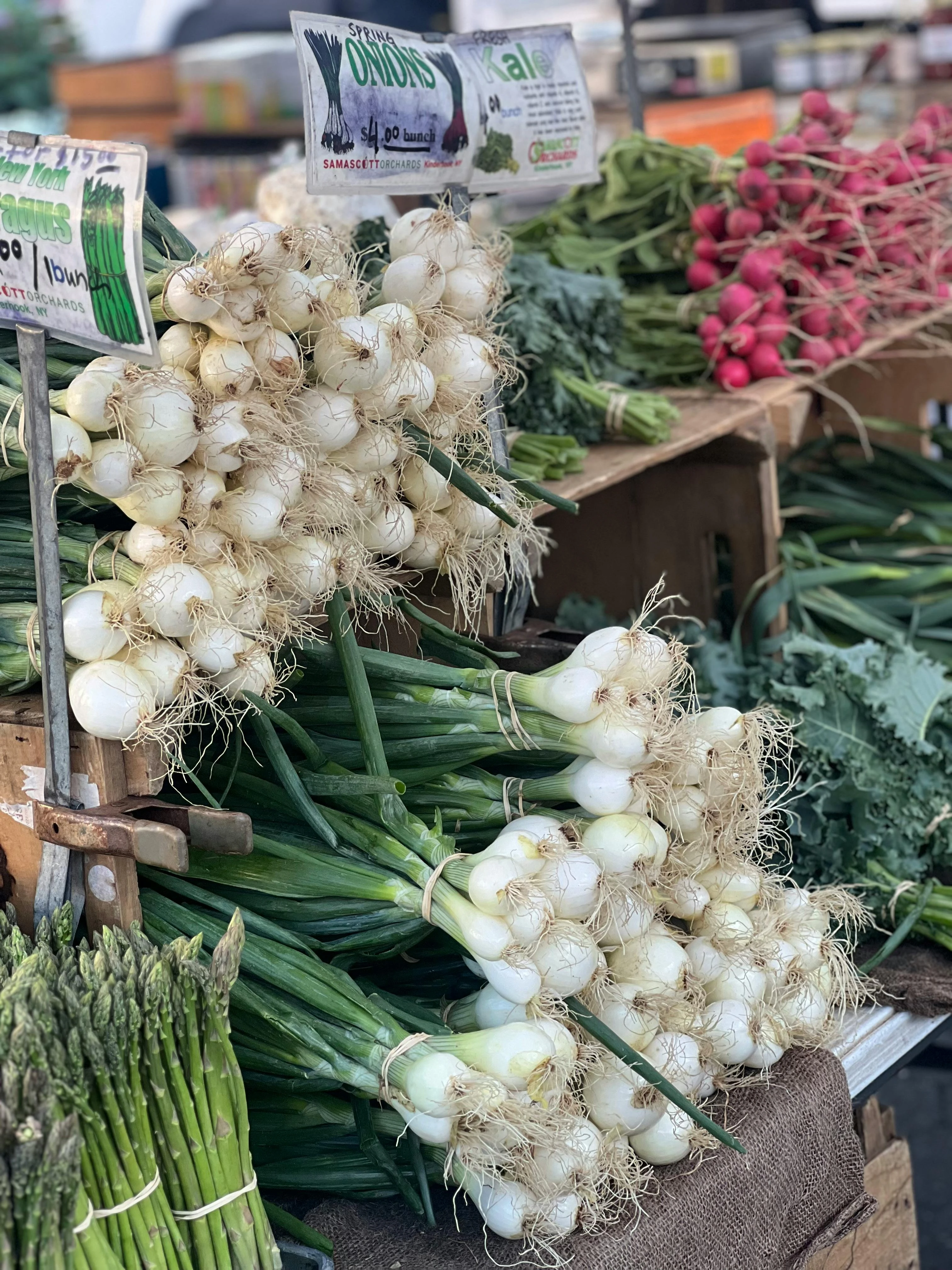 Bulb Vegetables