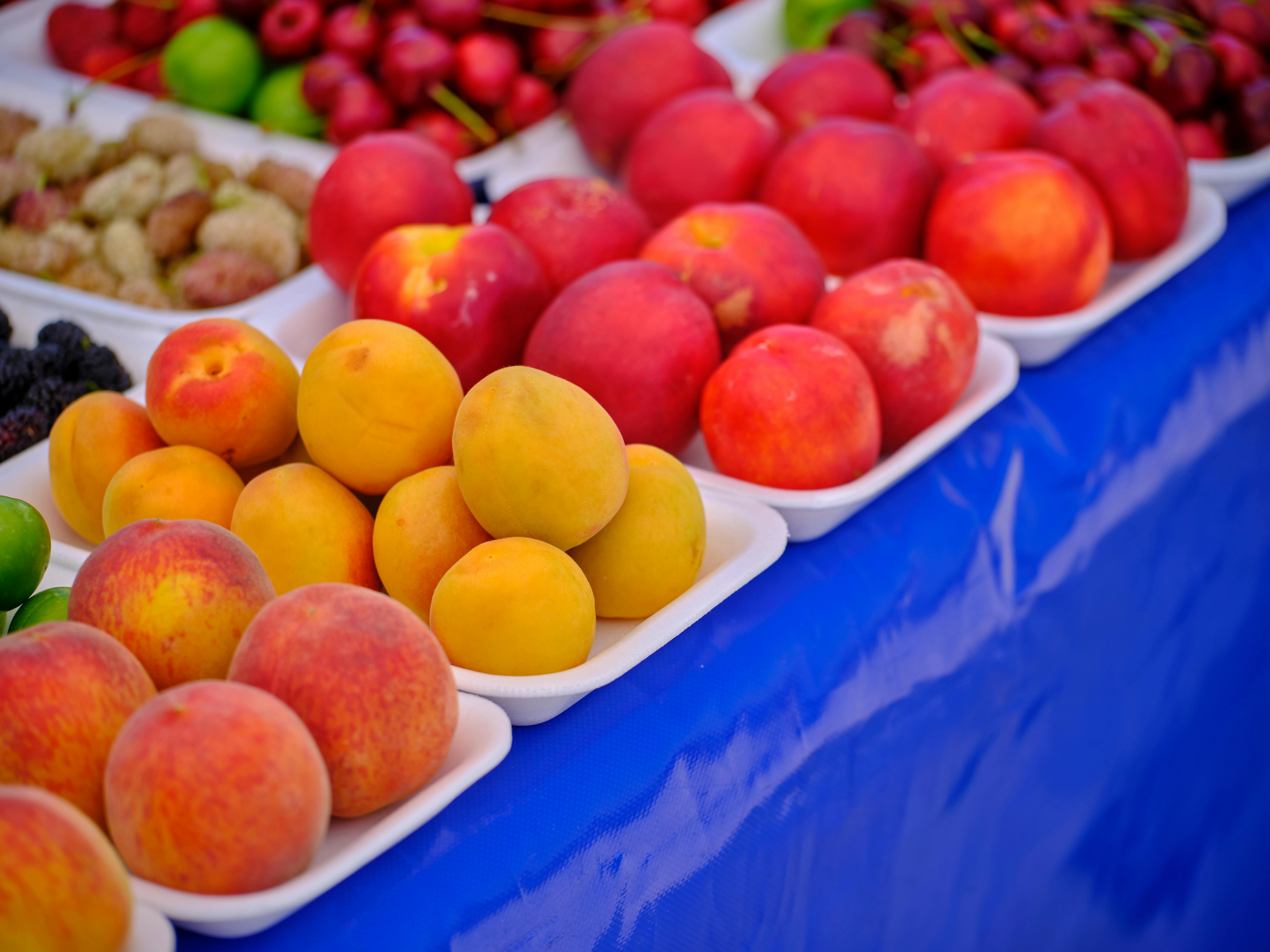 Stone Fruits