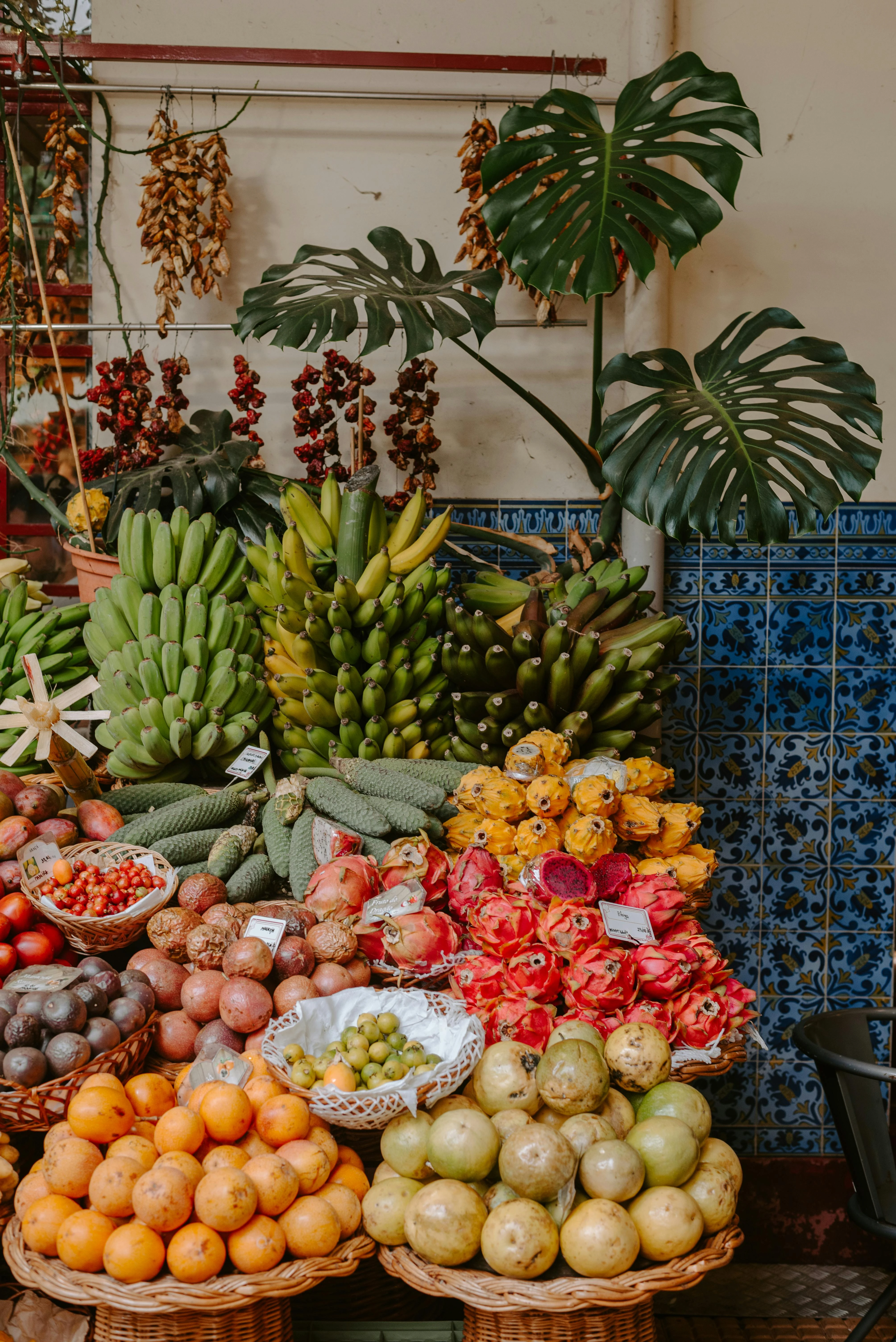 Exotic Fruits