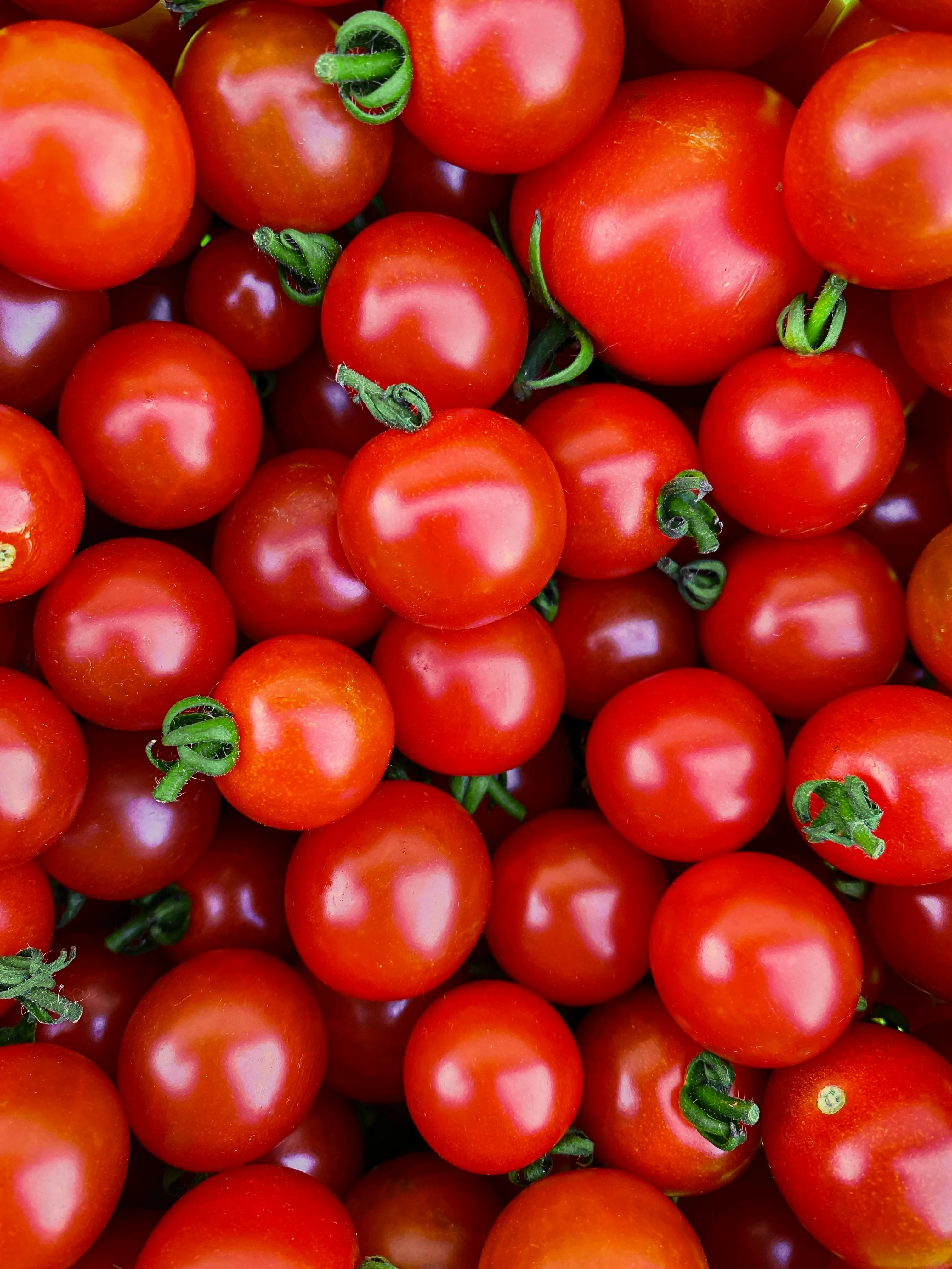 Tomato
