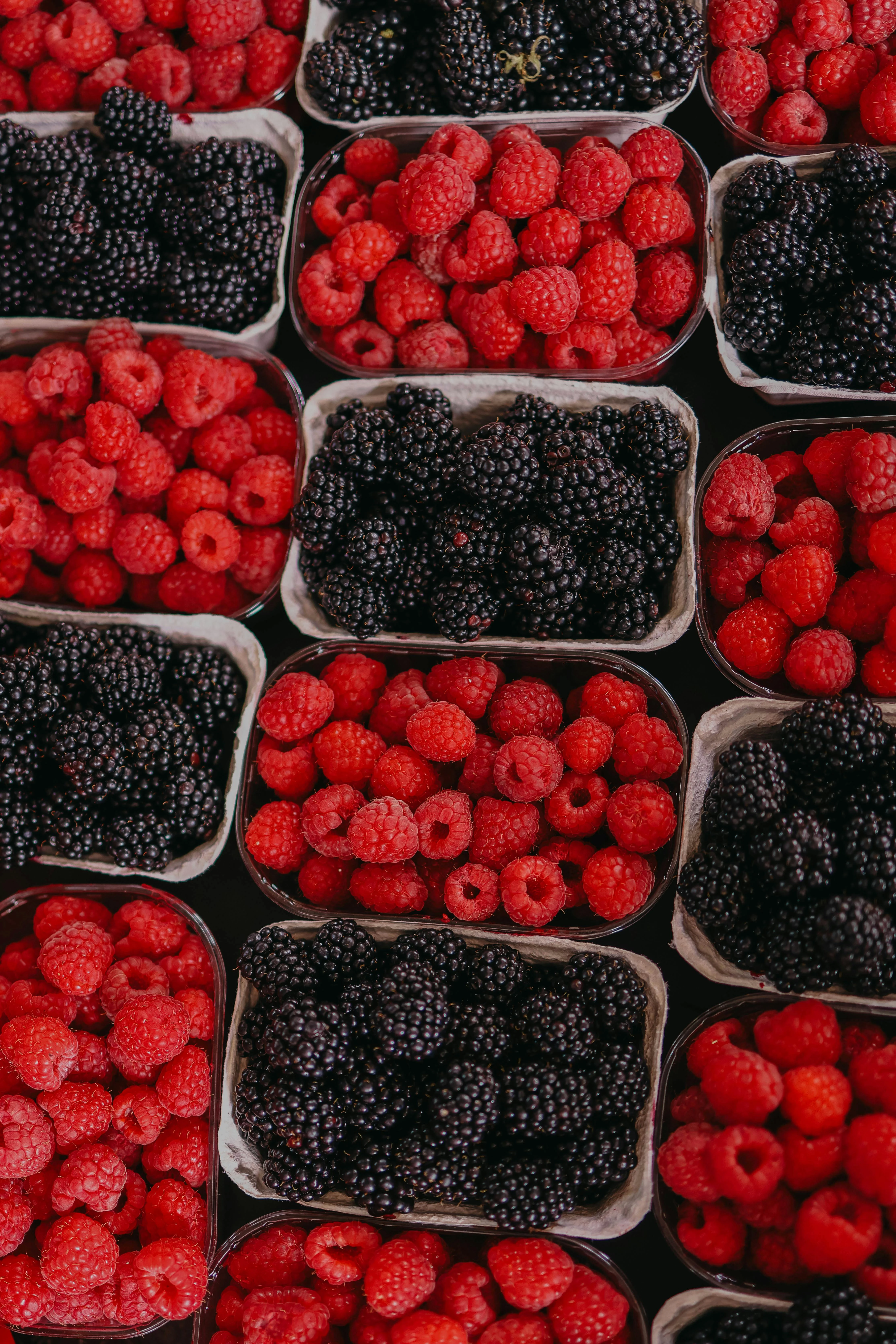 Berry Fruits