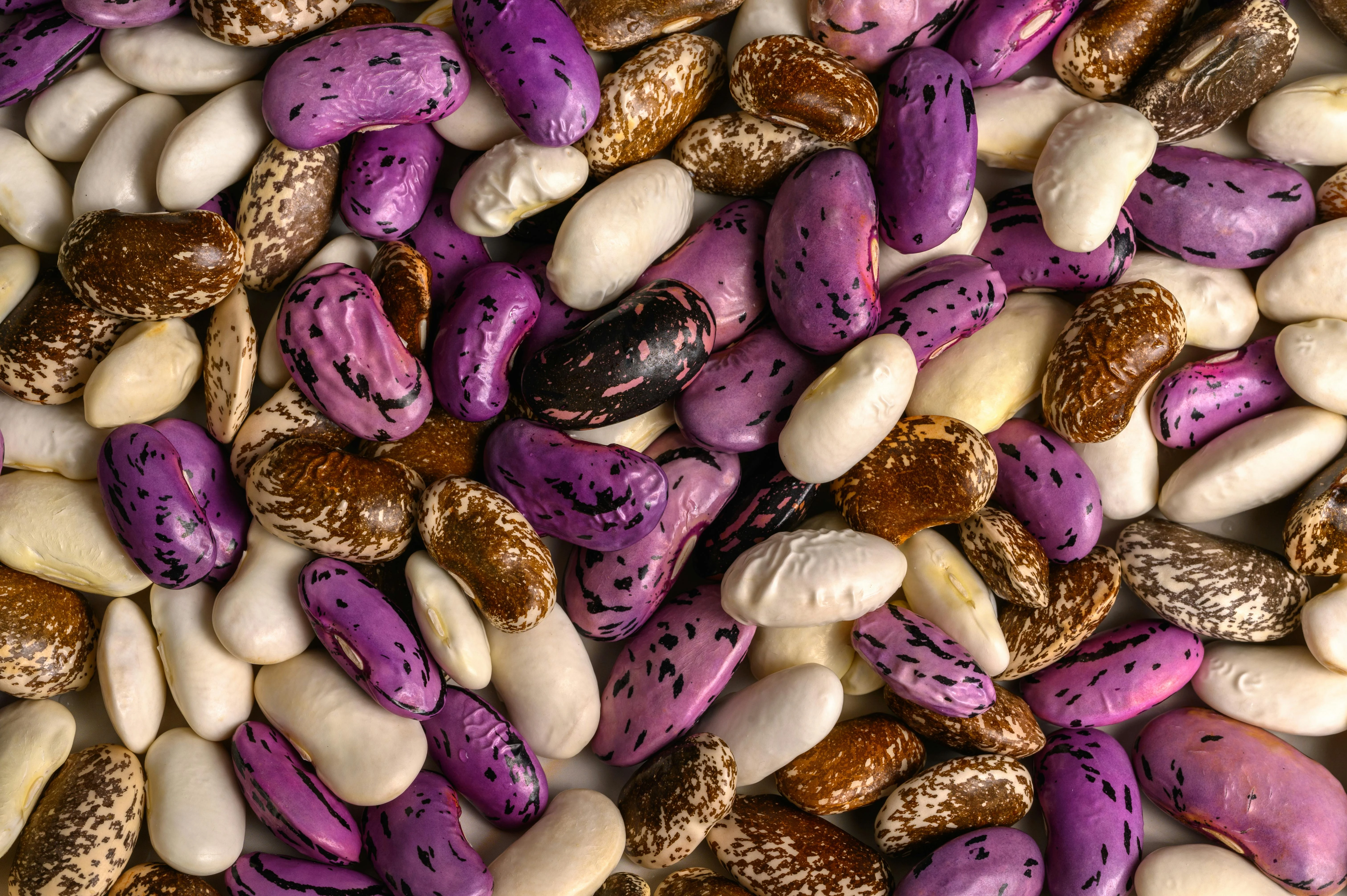 Beans