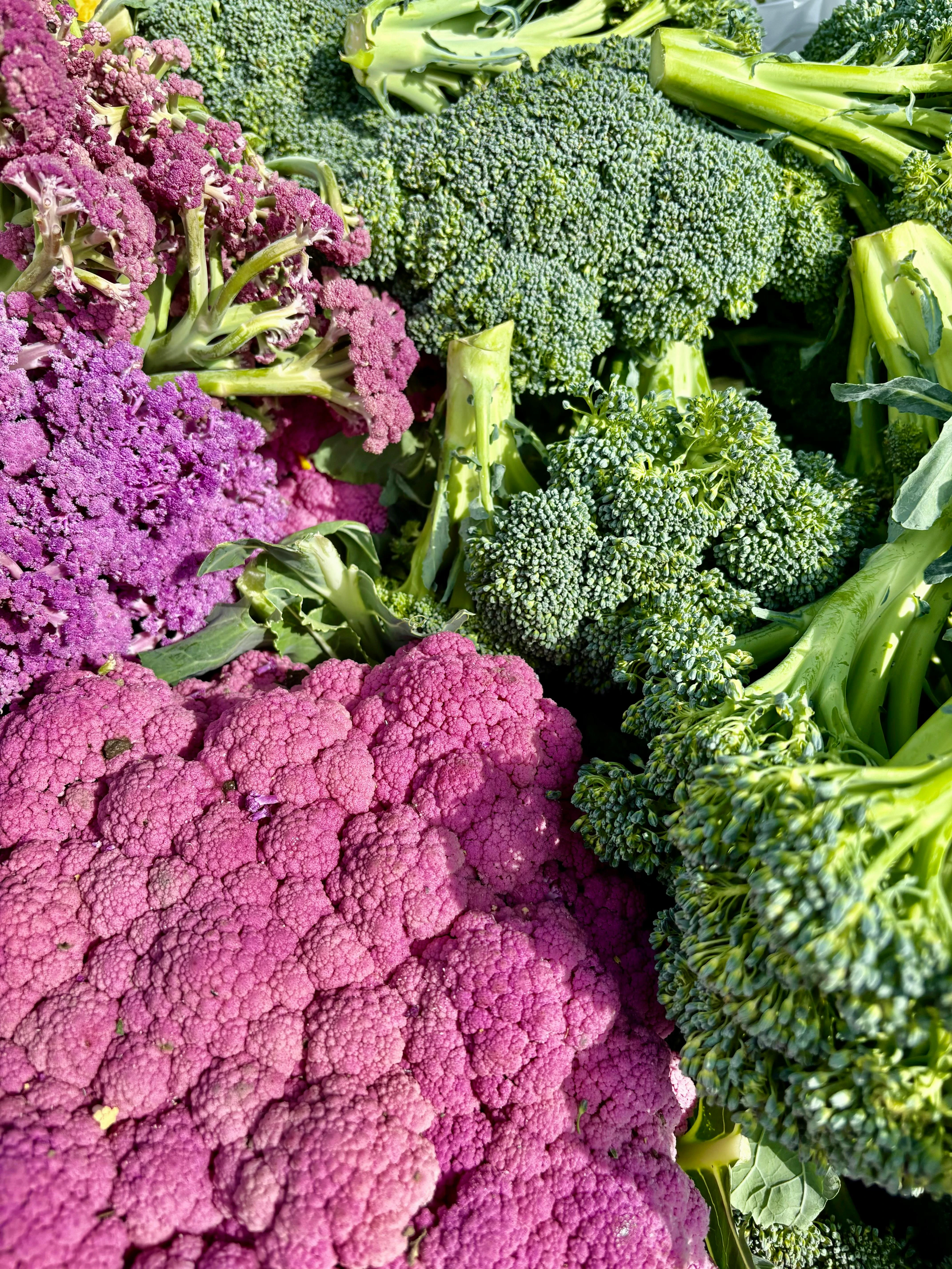 Broccoli