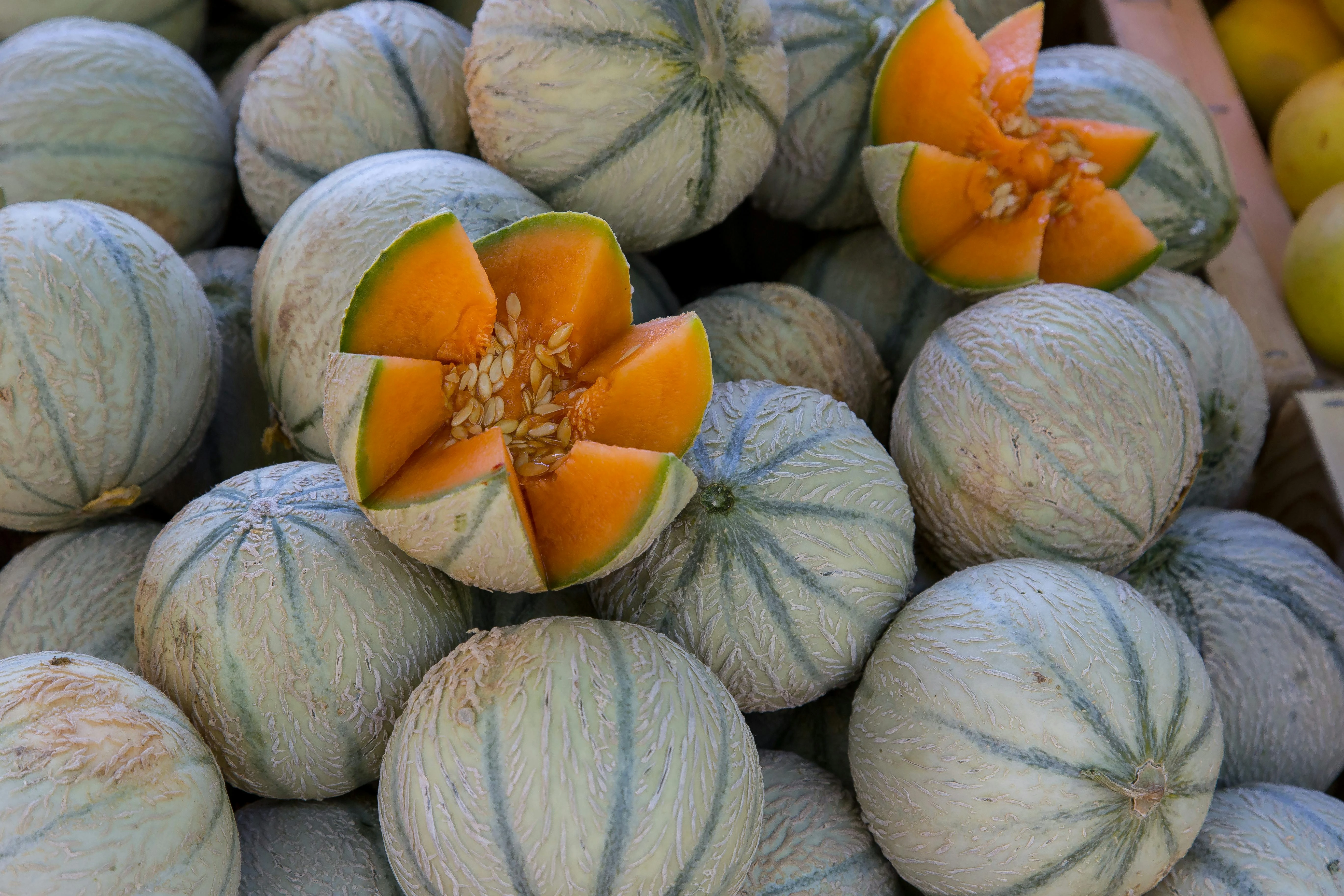 Melons